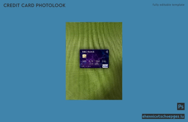 USA RBC Bank Visa-Karte Fotoansicht Beispielvorschau